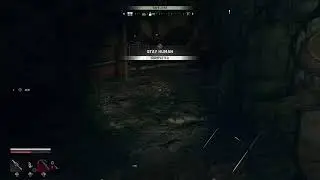 Dying light