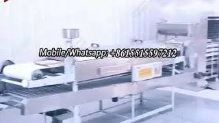 Factory Show of Nuts Processing Machines- Zhengzhou LONGER Machinery