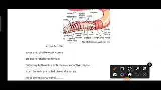 hermaphrodite #know the bisexual animals #.earthworm#