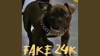 Fake 24K