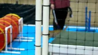 Cat Agility ~ Cotton States