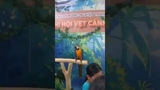 Have you ever seen birds that are both friendly and beautiful like these? They're so adorable!