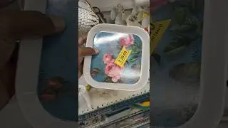 DMart finds under 100 Bangalore #dmart #shopping #affordable