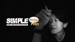 SIMPLE DARK TONE WITH PICSAY PRO