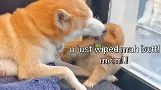 Oh No She Didn't!