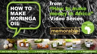 How to make Moringa Oil