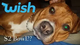 WISH HAUL DOG ITEMS || American Staffordshire Ace