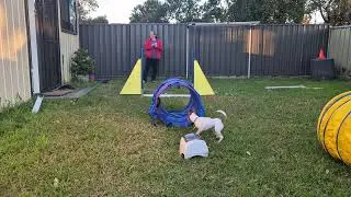 Denver - Thinking Forward - Forward Focus @ 7 Months Old