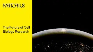 Live-Cell Imaging and Analysis: Capturing Biology in Real Time