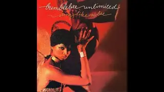 Bumblebee Unlimited - Lady Bug MIX 1 (Extended Instrumental Version)