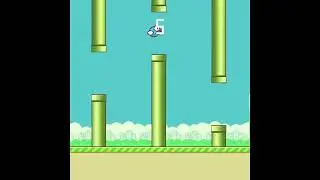 Flappy birds - C++