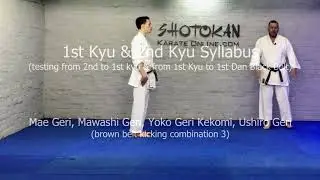 Shotokan Karate Brown Belt Basics Brown Belt Kicking Combination 3