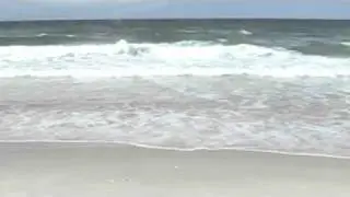 Pakiri Beach with nobody there
