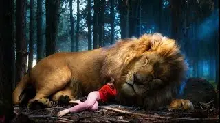 The Lion And Wolf Saved The Girl's Life | Movie Recap
