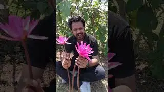 learn Biology from wild for NEET 2026