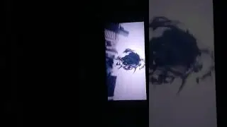 Superman annhilating raptors scene in theatre