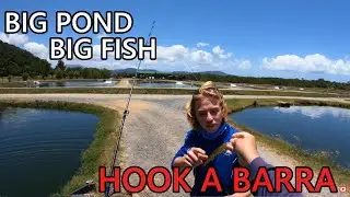 Big Pond = Big Fish (Hook A Barra)