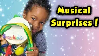 Learning About Musical Instruments! Smiley Riley Show! Smarkids Musical Instruments