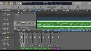A Symphonic Palette