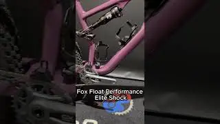 Epic 8 Evo Expert