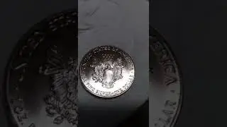 1 oz Fine Silver~One Dollar...