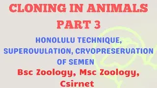 Cloning in Animals PART 3  Honolulu technique  #cloning #msczoology #bsczoology #biotechnology