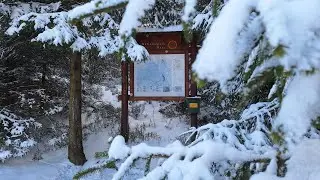 Gustav-Baumann-Weg bei Altenau (HD)