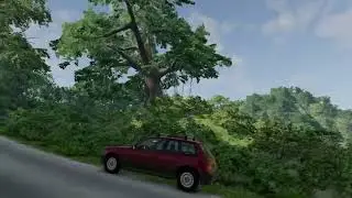 Eerie sounds captured on Jungle Rock Island