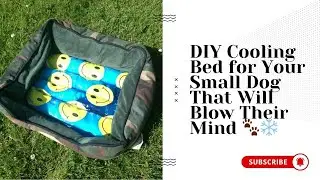 DIY Cooling Bed for Your Small Dog That Will Blow Their Mind 🐾❄️