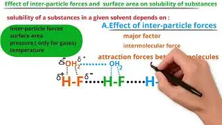 Effect of inter particle forces and surface area on solubility