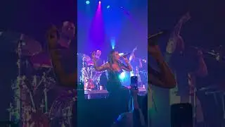 HIRIE ~I Am Your Vibe #concert #newmusic #livemusic #reggae