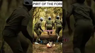Spirit of the forest 2 #dj #movie #edmdj