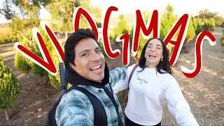 ¡¡¡YA TENEMOS NUESTRO ARBOLITO!!! | Vlogmas