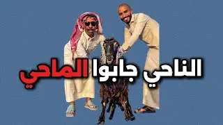 سنابات ابو حصه اليوميه كامله 23/04/2025 | الناحي جابوا الماحي 🐐💔