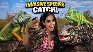 I CAUGHT the Most DANGEROUS INVASIVE SPECIES in FLORIDA!