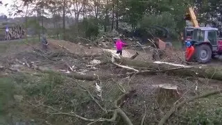 Eissingeheem herplanten bomen 2016