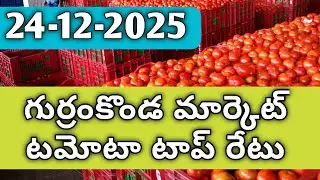Gurramkonda Market Tomato Rates Today || All Tamato Market Prices || Village Life Tomatos
