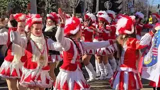 Rosenmontagsumzug Halle (Saale) 2025