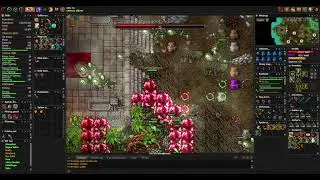 Medivia - Spawn of Agavan - Surface - Luana