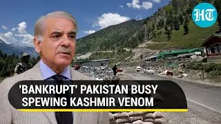 Pak Targets Indian Army In Fresh Kashmir Rant; Claims Over 780 Kashmiris Killed by... | Watch