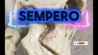 sempero slowed