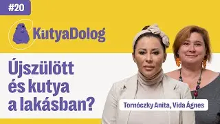 Újszülött és kutya egy lakásban? Így készítsd fel kutyádat! | KutyaDolog podcast #20
