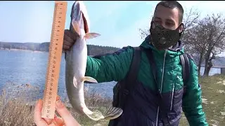 РЕВИЗИЯ ''FISH PARK''/ ЗАКРЫВАЮ СЕЗОН ЩУКИ?