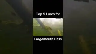 Top 5 Bass Lures you need in your tackle box! | #fishing #bassfishing #shorts
