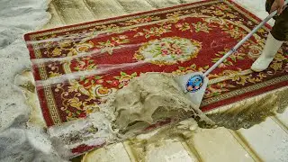 Sewer Overflow - lncredible dirty Carpet Cleaning Satisfying - Carpet Cleaning ASMR
