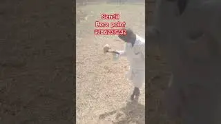 Bore point check coconut method #borewell #water #tamil #farmer