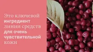 Ингредиенты Mustela: Шизандра