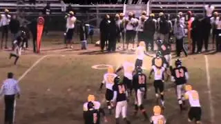 VINCENT DOWTHARD #19 DB, LB Sheffield Knights HIGHLIGHTS