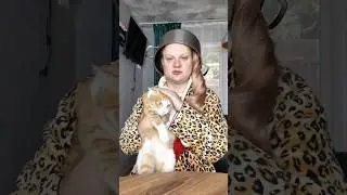 Совет дня!😂👌 #юмор #vanlifevoyages #vanlife #comedy #топ