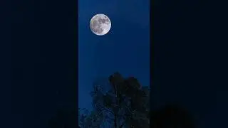 A perfect full moon in the night sky. #moon #astrophotography #moongazing #astronomy